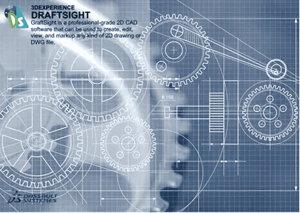Ddsight2025.png