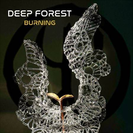 Deep-Forest-Burning-2023-Elettronica-Flac-16-44.jpg