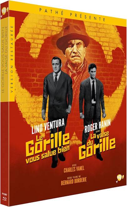 Der-Gorilla-l-sst-sch-n-gr-en.jpg