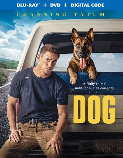 dogclkq7.jpg