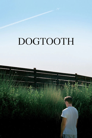 Dogtooth.jpg