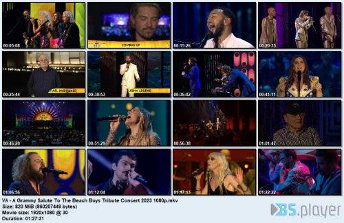 e-to-the-beach-boys-tribute-concert-2023-1080p_idx.jpg