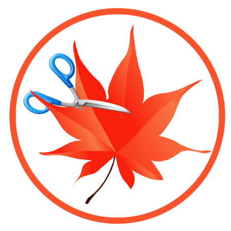 easycutstudiobojqc.png