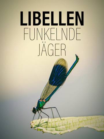 eurqerb61e89.jpg