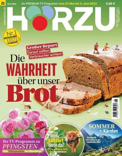 H-rzu-Fernsehzeitschrift.jpg