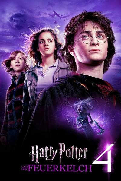 harry.potter.und.der.vlcej.jpg