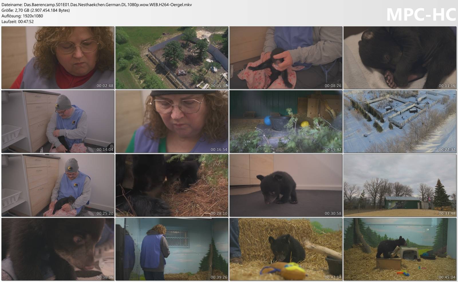 hen-German-DL-1080p-wow-WEB-H264-Oergel-mkv-thumbs.jpg