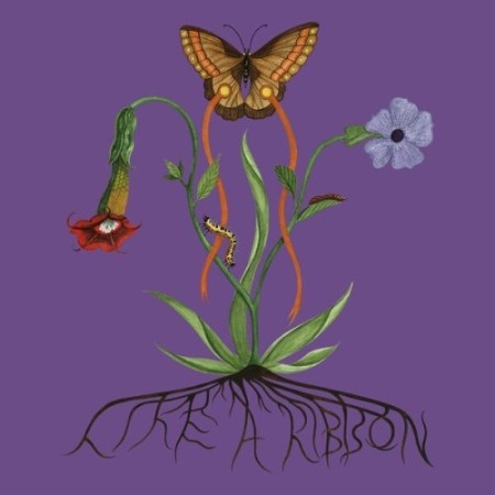 ier-Like-A-Ribbon-Deluxe-2025-24-Bit-44-1k-Hz-FLAC.jpg