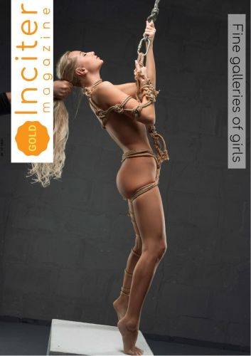 Inciter-Magazine-November-2023.jpg