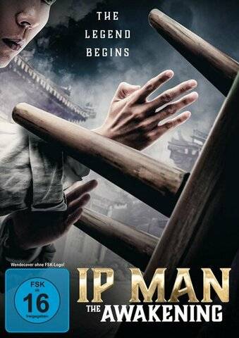 ip-man-the-awakening-m8cyg.jpg