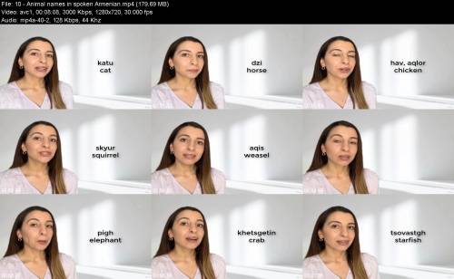 Jmx8nLIy_t.jpg
