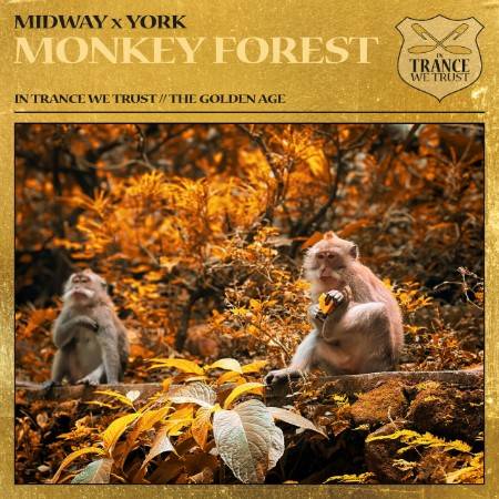 k-Monkey-Forest-ITWT8390-24-BIT-WEB-FLAC-2025-AOVF.jpg