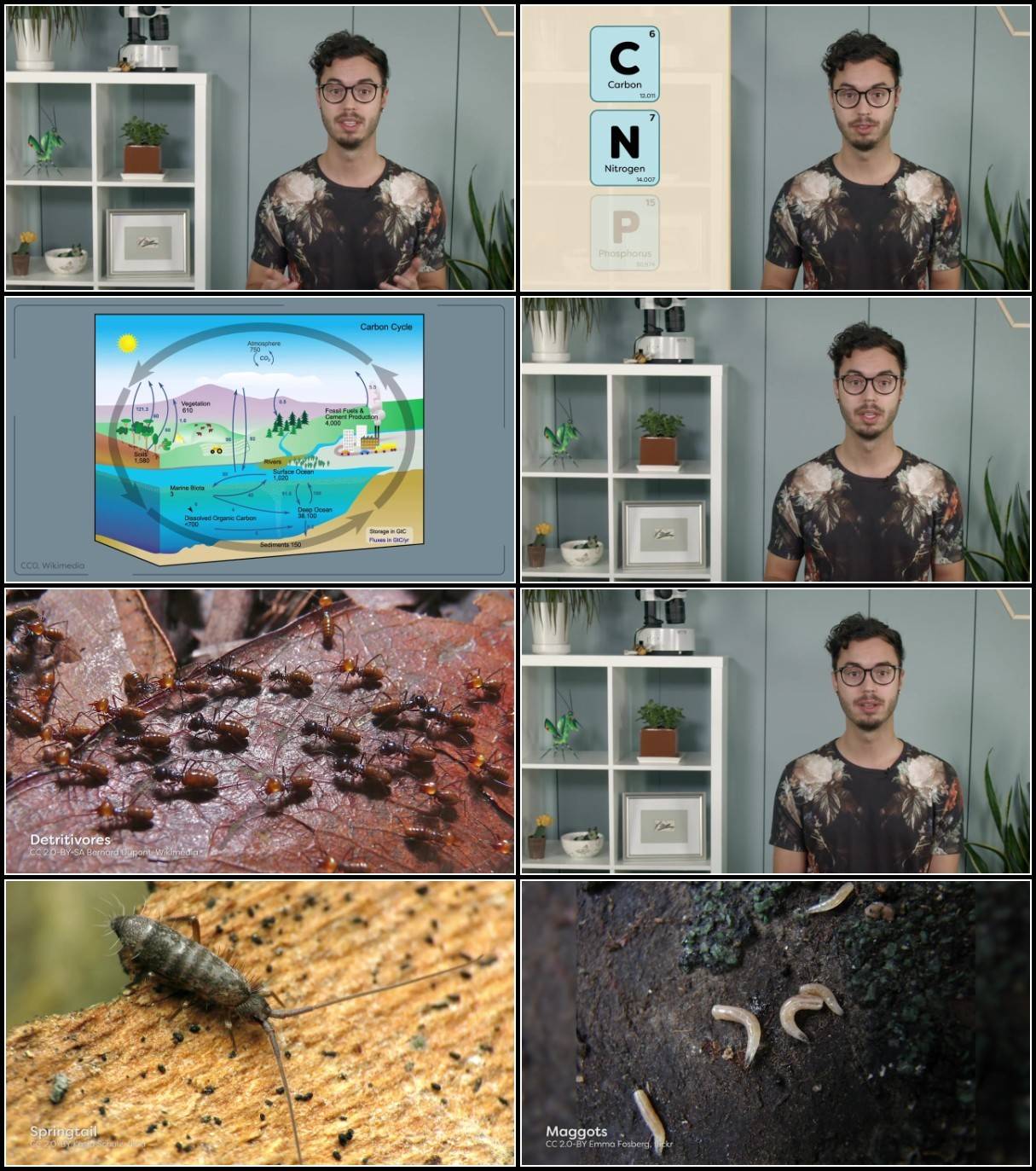 KExm0Q3M_o.jpg