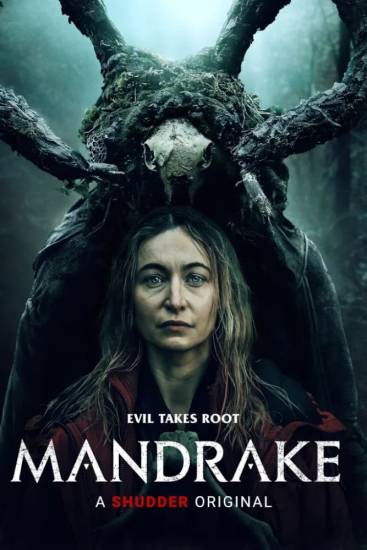 mandrake31c3m.jpg