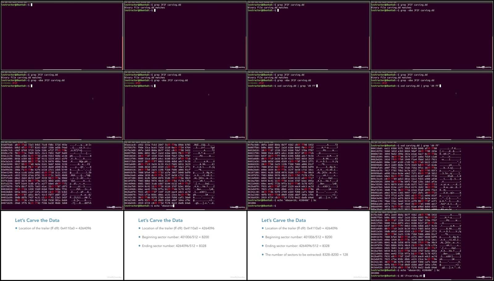 MyCXmuP2_o.jpg