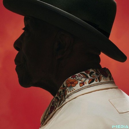 ne-With-The-Blues-2025-24-Bit-44-1k-Hz-FLAC-PMEDIA.jpg
