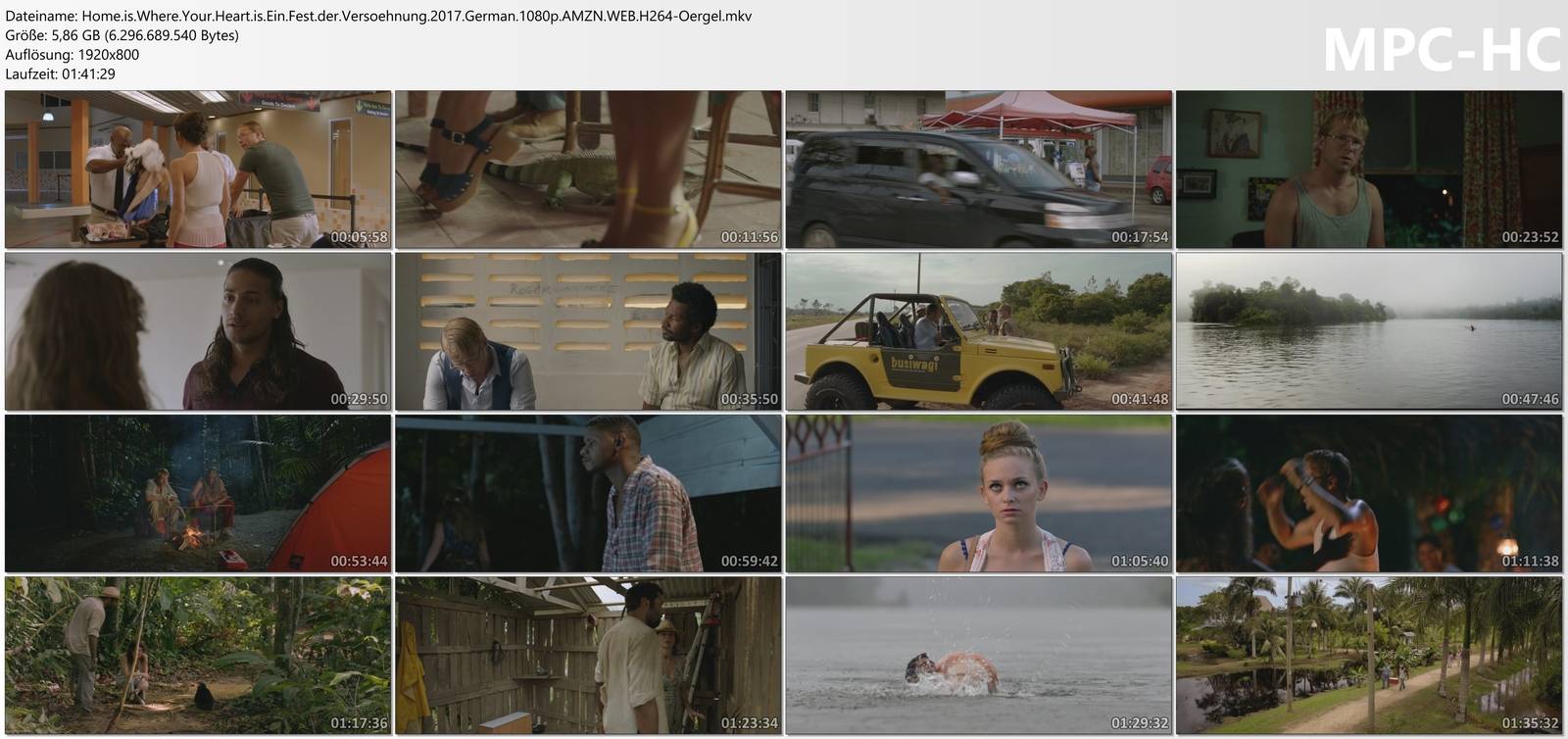 ng-2017-German-1080p-AMZN-WEB-H264-Oergel-mkv-thum.jpg
