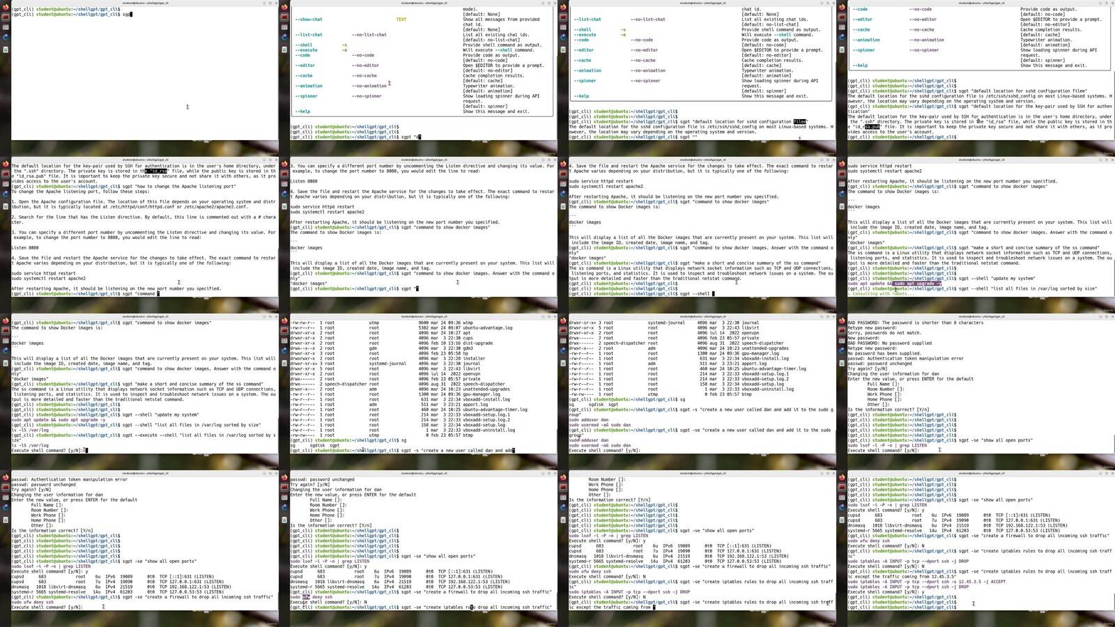 nTGJ9GTz_o.jpg