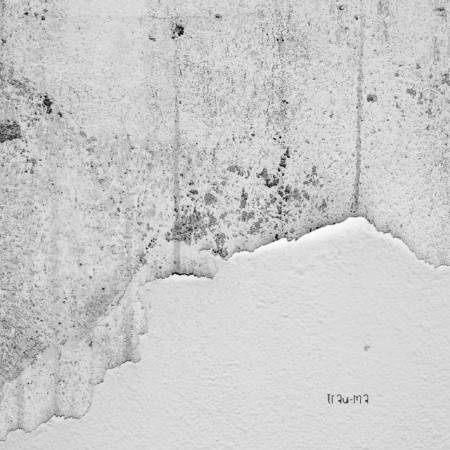 ntin-Scharf-Opal-TRM348-16-BIT-WEB-FLAC-2025-WAVED.jpg
