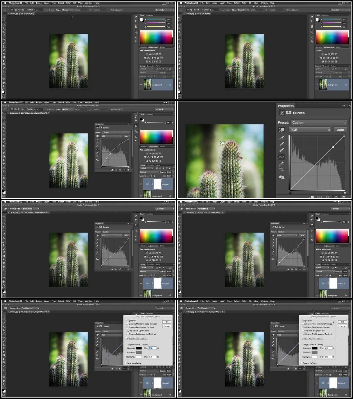ORXQK3mD_o.jpg
