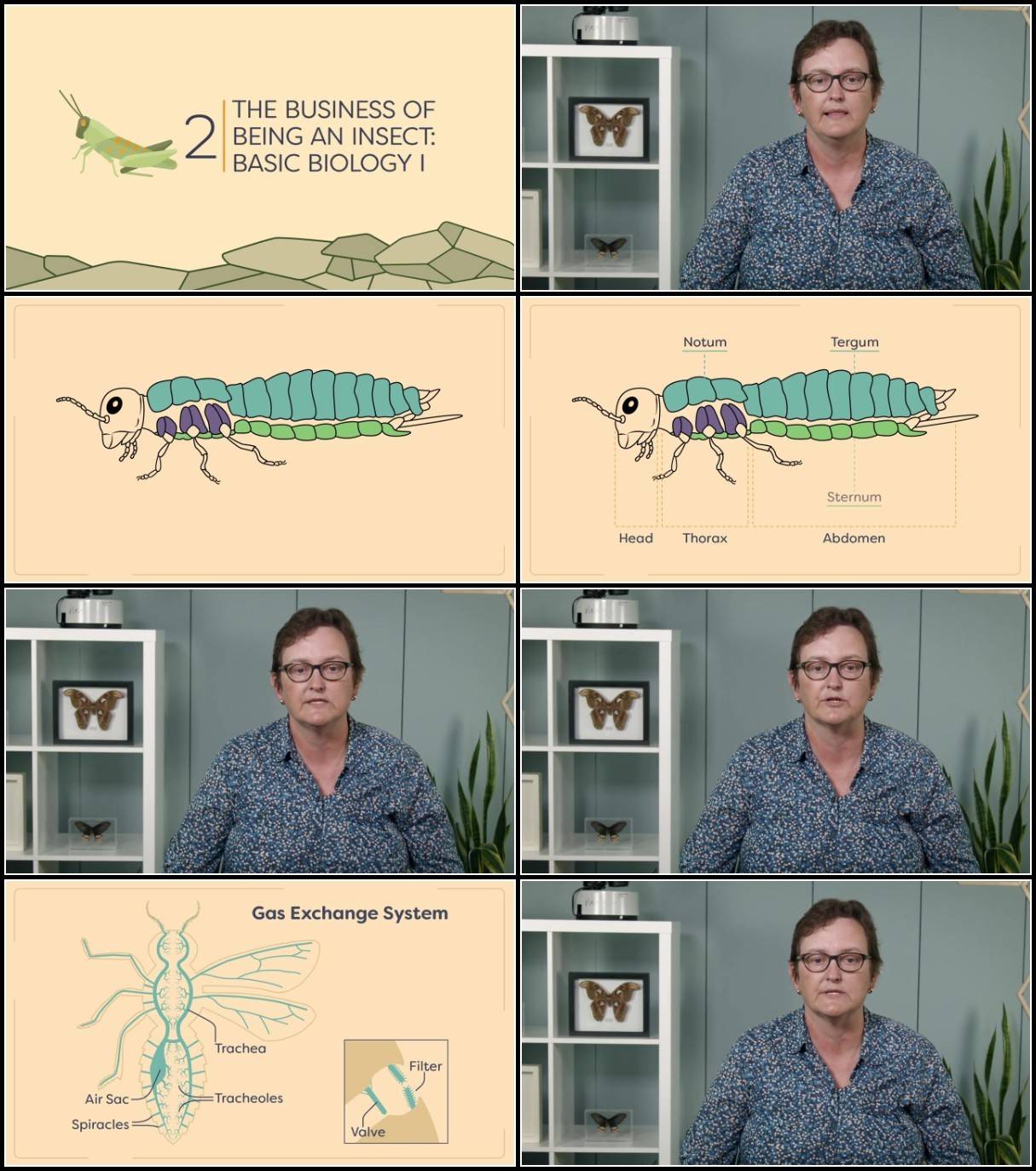 OWsFSEnV_o.jpg