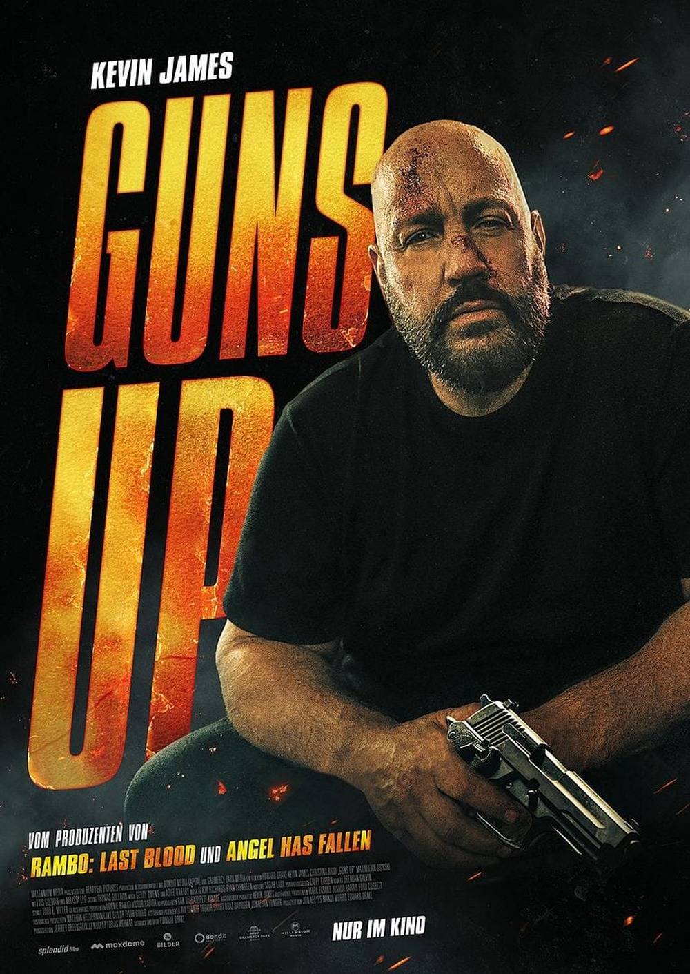 p-2025-German-DL-1080p-Blu-Ray-x264-DETAi-LS-cover.jpg