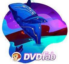 p6kb2uao4fj1l.jpg