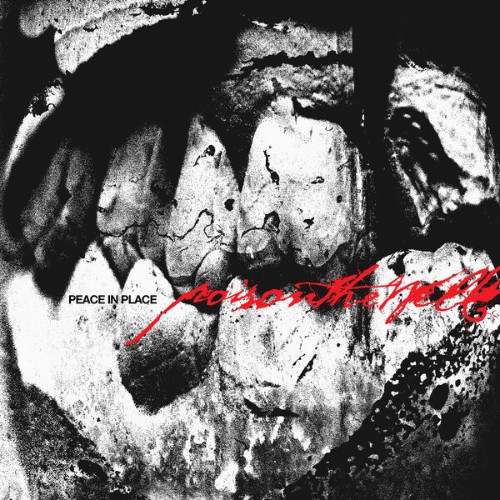 -Peace-In-Place-24BIT-48KHZ-WEB-FLAC-2026-FLACCi-D.jpg