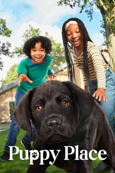 puppy.place.s01.germad4k3f.jpg