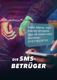 Die SMS-Betrüger WEB 1080p x264 - protomike