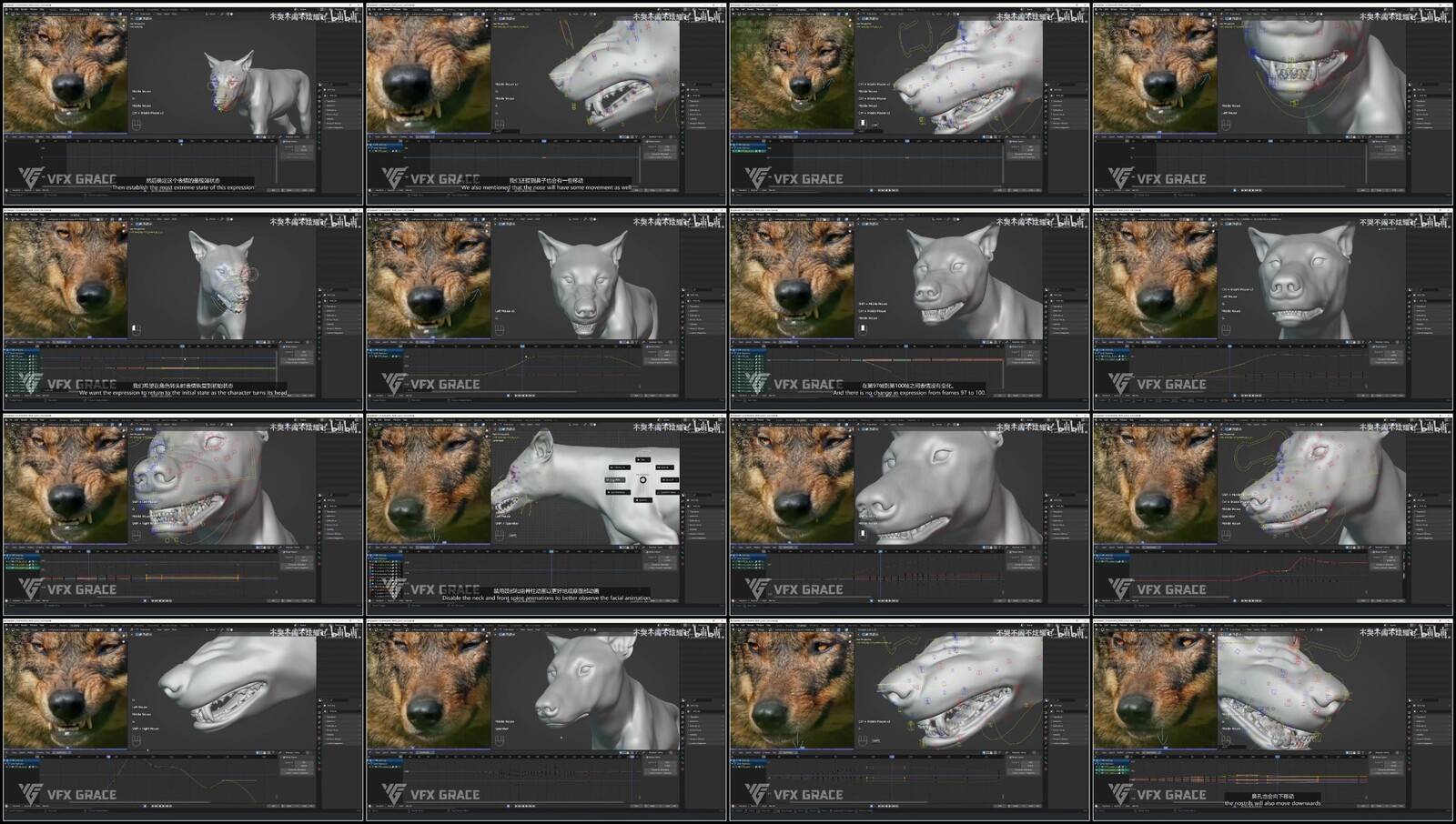 rd9LFQ0w_o.jpg