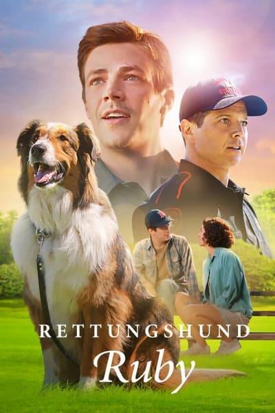 rettungshund.ruby.20232k1h.jpg
