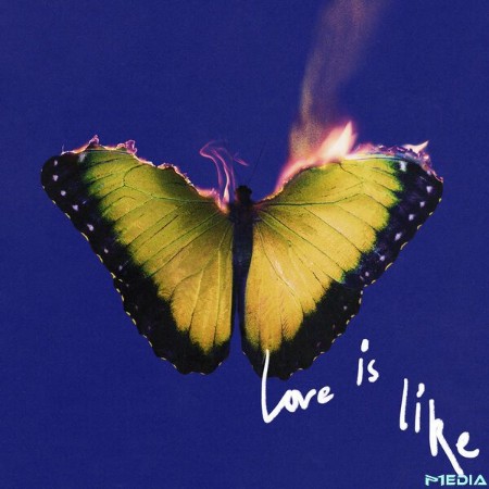 roon-5-Love-Is-Like-2025-24-Bit-48k-Hz-FLAC-PMEDIA.jpg