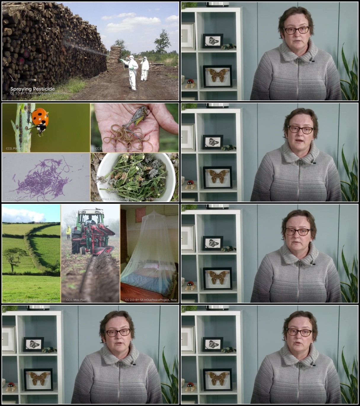 rRar34iR_o.jpg