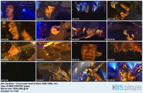 -sardinas-crossroads-festival-bonn-2008-1080p-_idx.jpg