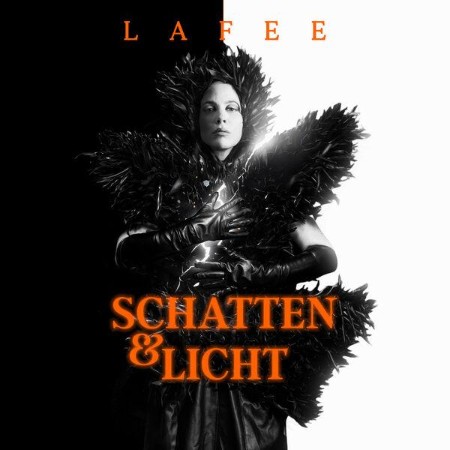 -Schatten-und-Licht-DE-24BIT-WEB-FLAC-2025-ENVi-ED.jpg