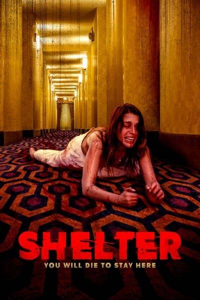 shelter.in.place.2021exkrp.jpg