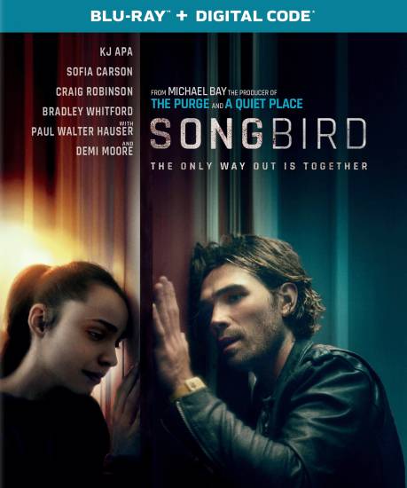 songbirdgqjnz.jpg