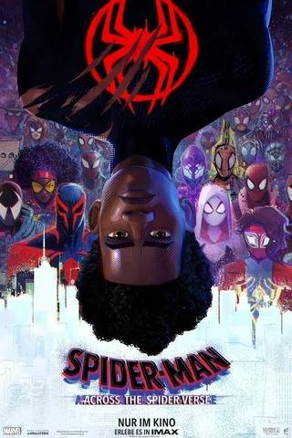 spiderwbfd6bfddy.jpg