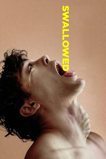 swallowedesistindir62img.jpg