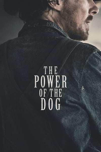 the.power.of.the.dog.kmkxl.jpg