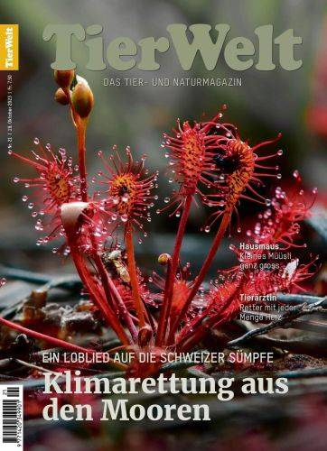 Tier-Welt-21-Oktober-2023.jpg