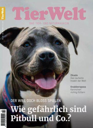 Tier-Welt-Nr-10-2023.jpg