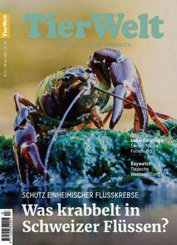 Tier-Welt-Nr-13-2023.jpg