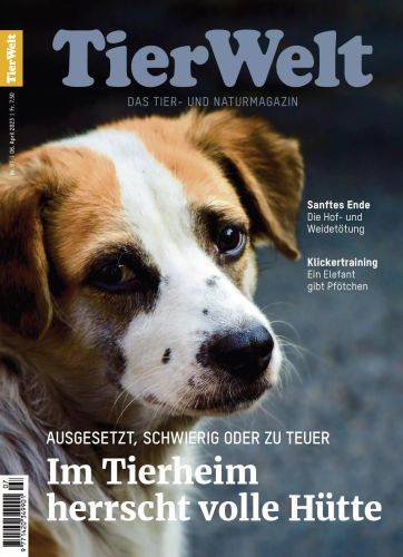 tierwelt.jpg