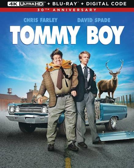 Tommy-Boy-Durch-dick-und-duenn.jpg