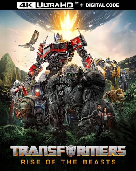 transformersaufstiegdpddha.jpg
