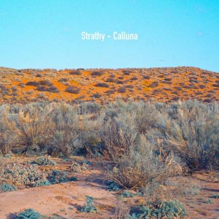 trathy-Calluna-OHNELP002-16BIT-WEB-FLAC-2025-WAVED.jpg