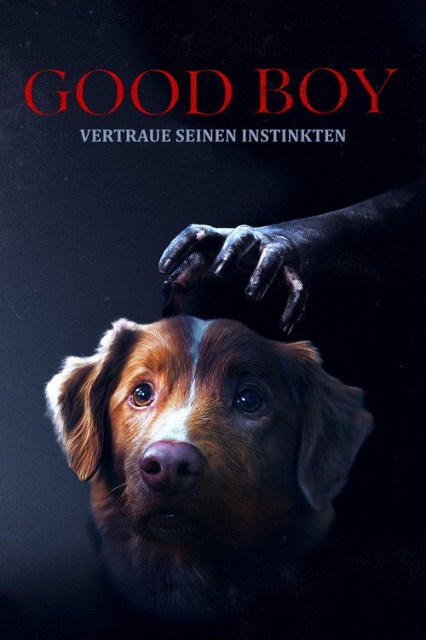 trust-his-instincts-2025-german-bdrip-x264-details.jpg