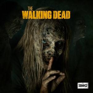 twd9bwfbx.jpg